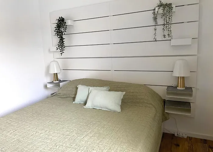 Fuchs-fichte * Bad Harzburg